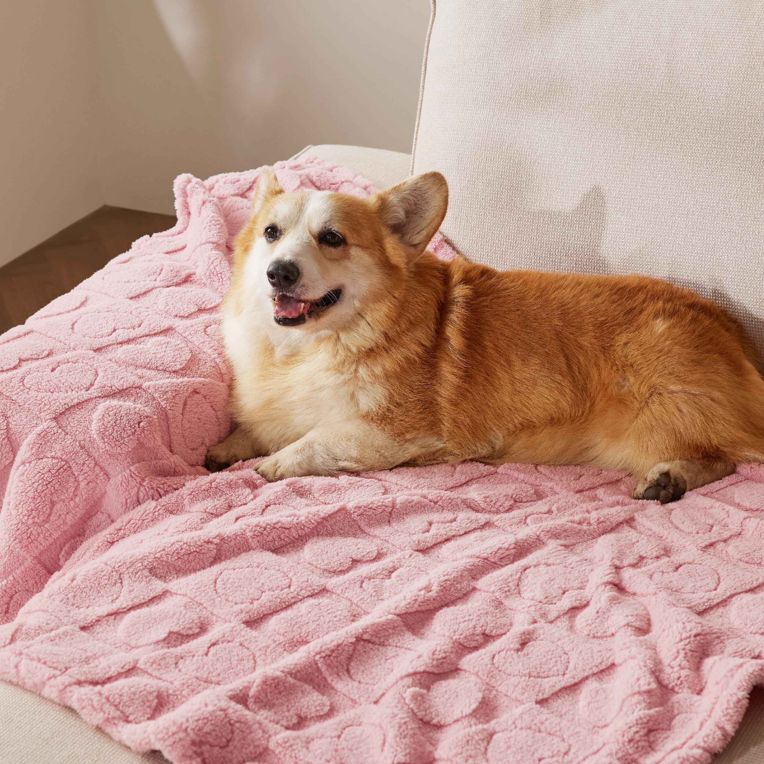 Bedsure sécurité et douceur pour animaux rose, tissu fiable