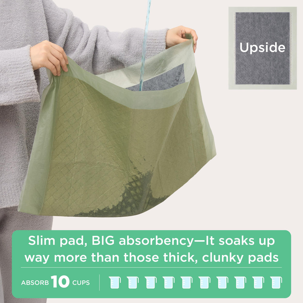 Bedsure Tapis Pipi Chien Attractant Olfactif : facilite l apprentissage
