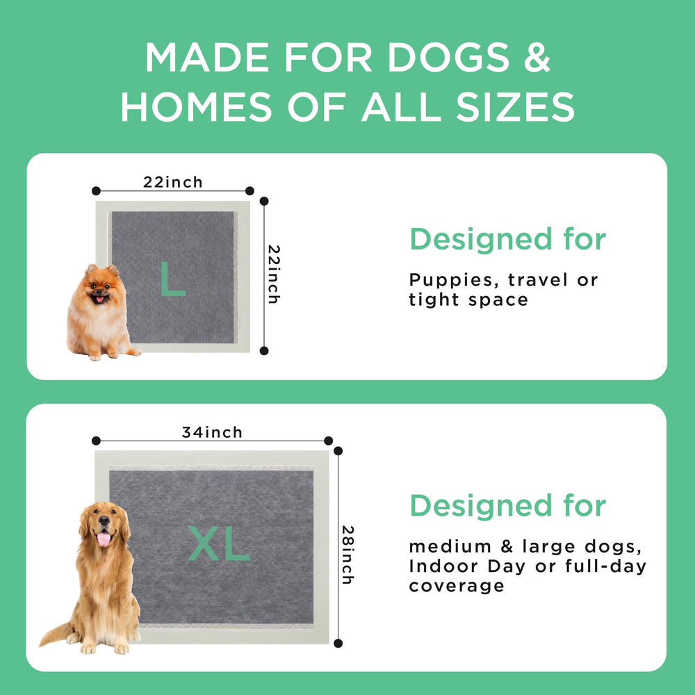 Bedsure Tapis Pipi Chien Utilisation Caisse : idéal pour l entraînement