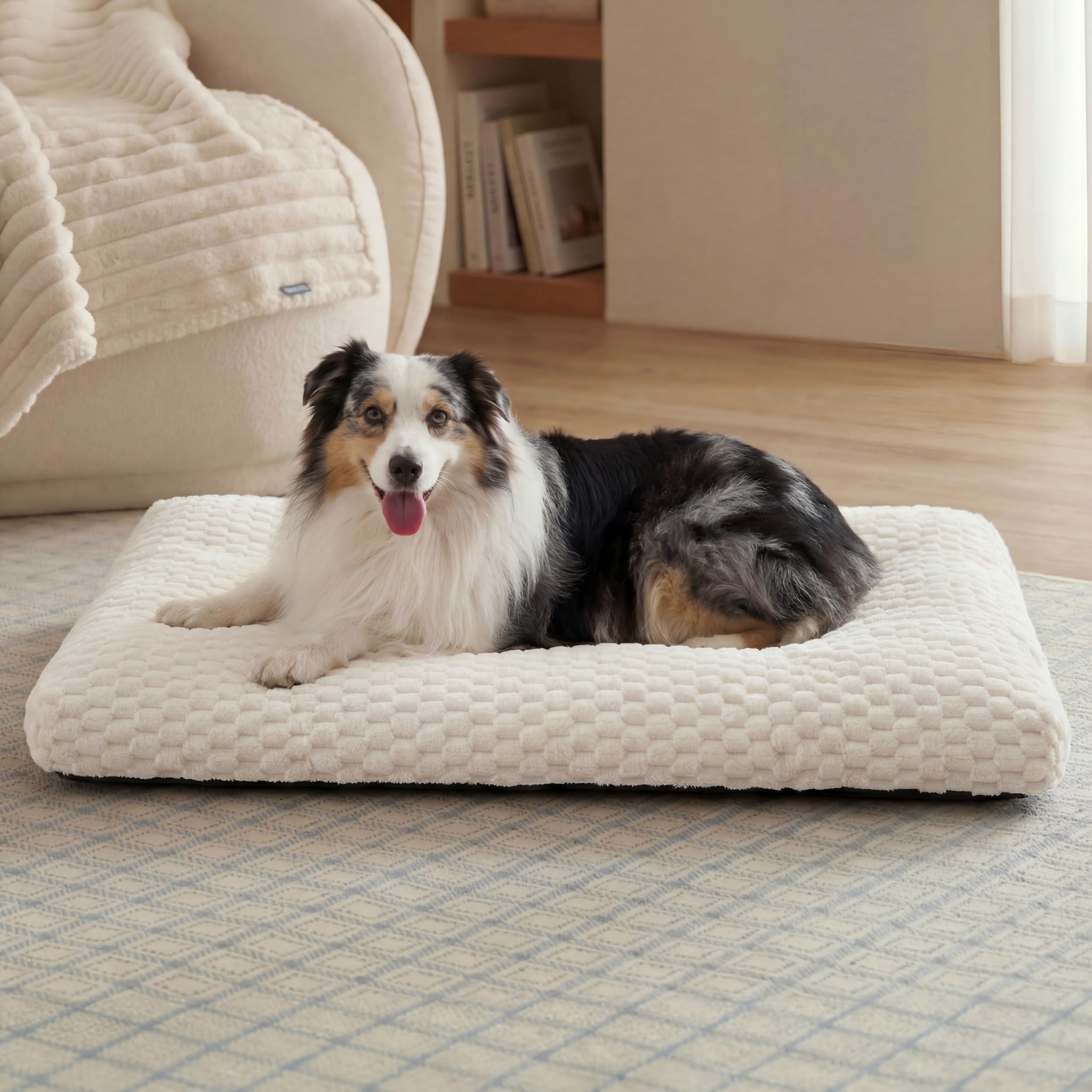 Bedsure XL lit-chien dans un crate crème, repos calme et sûr.
