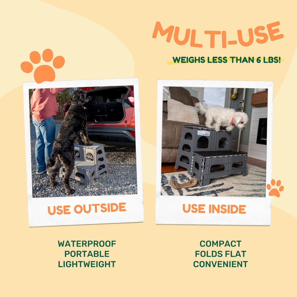 Bee Neat escalier pour lit haut: solution pratique pour chiens et chats.