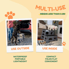 Bee Neat escalier pour lit haut: solution pratique pour chiens et chats.