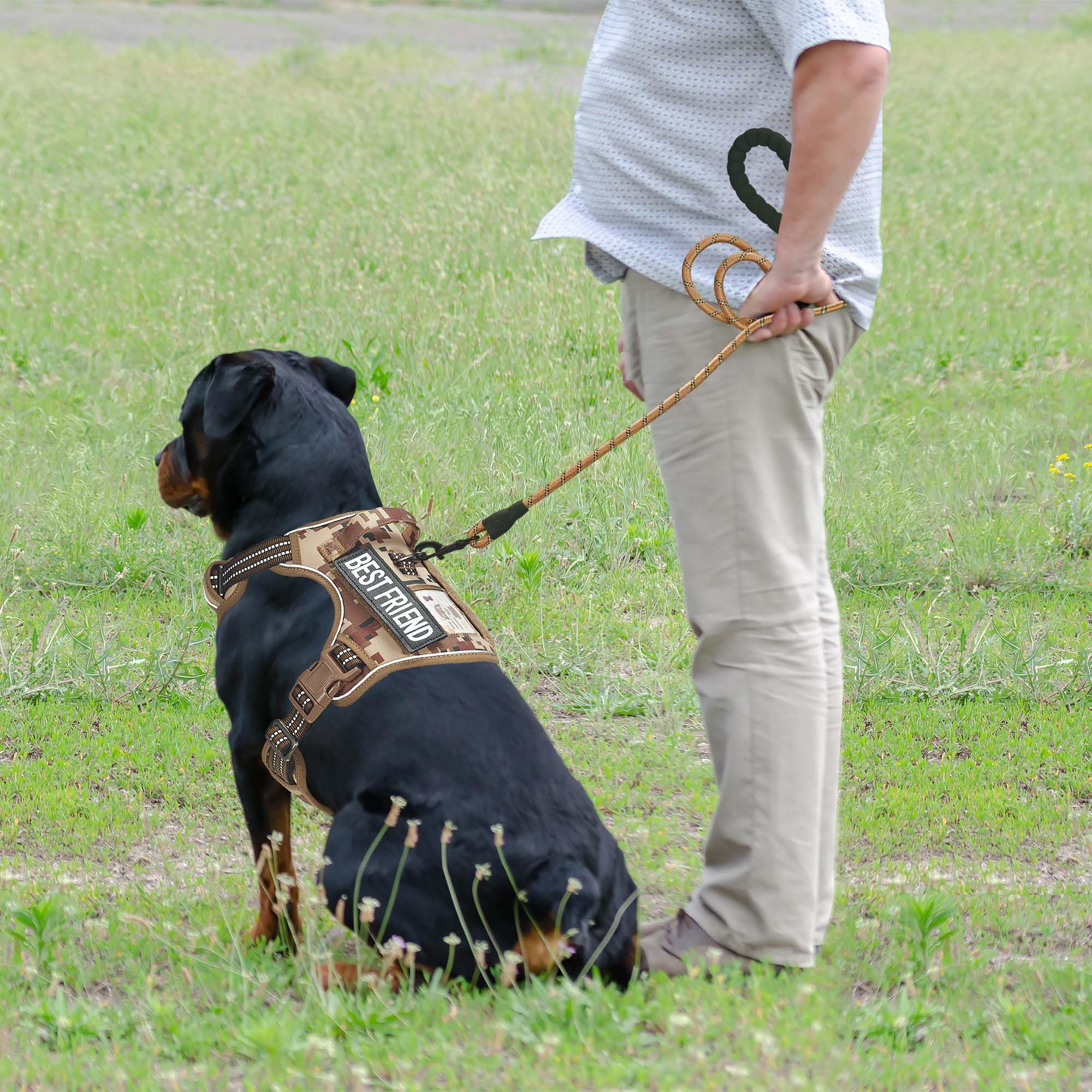 Beebiepet harnais avec système Molle pour transporter l'équipement.