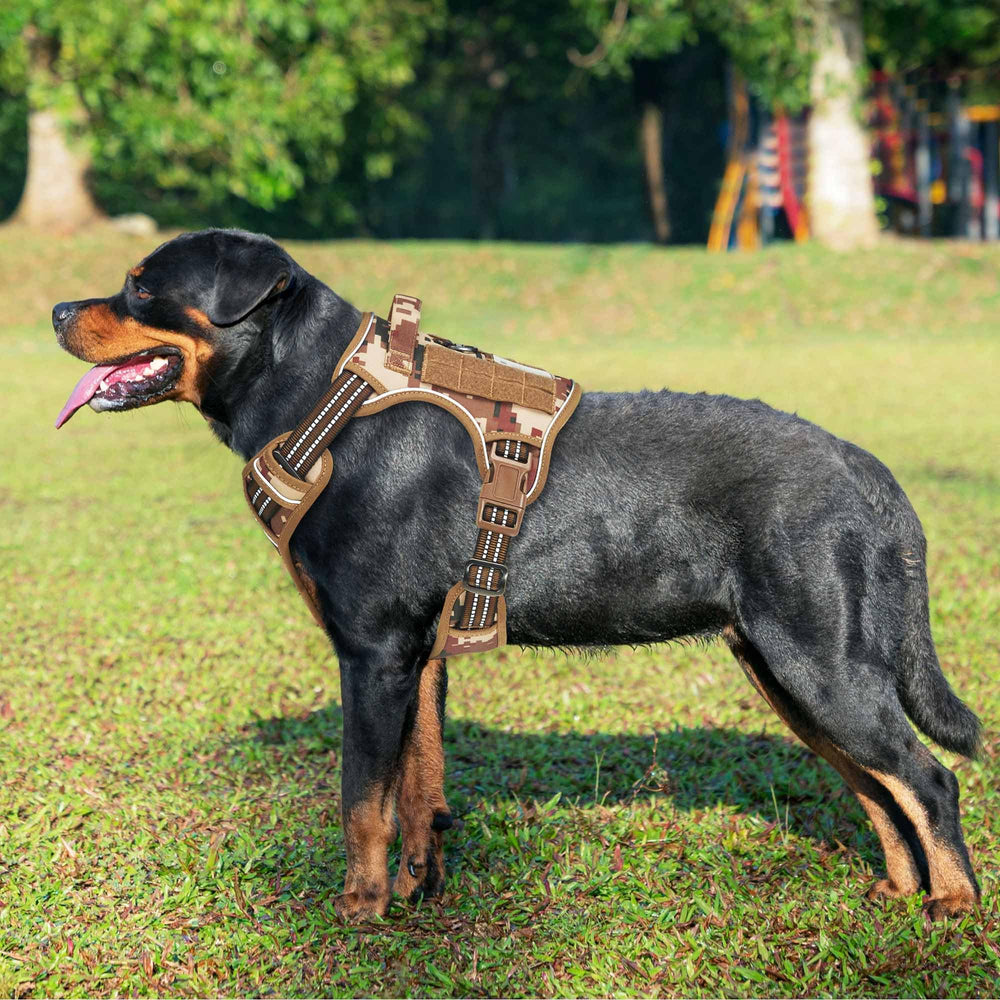 Beebiepet harnais avec système Molle pour fixer l'équipement, durable et pratique