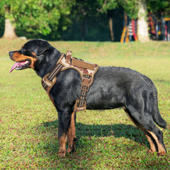 Beebiepet harnais avec système Molle pour fixer l'équipement, durable et pratique