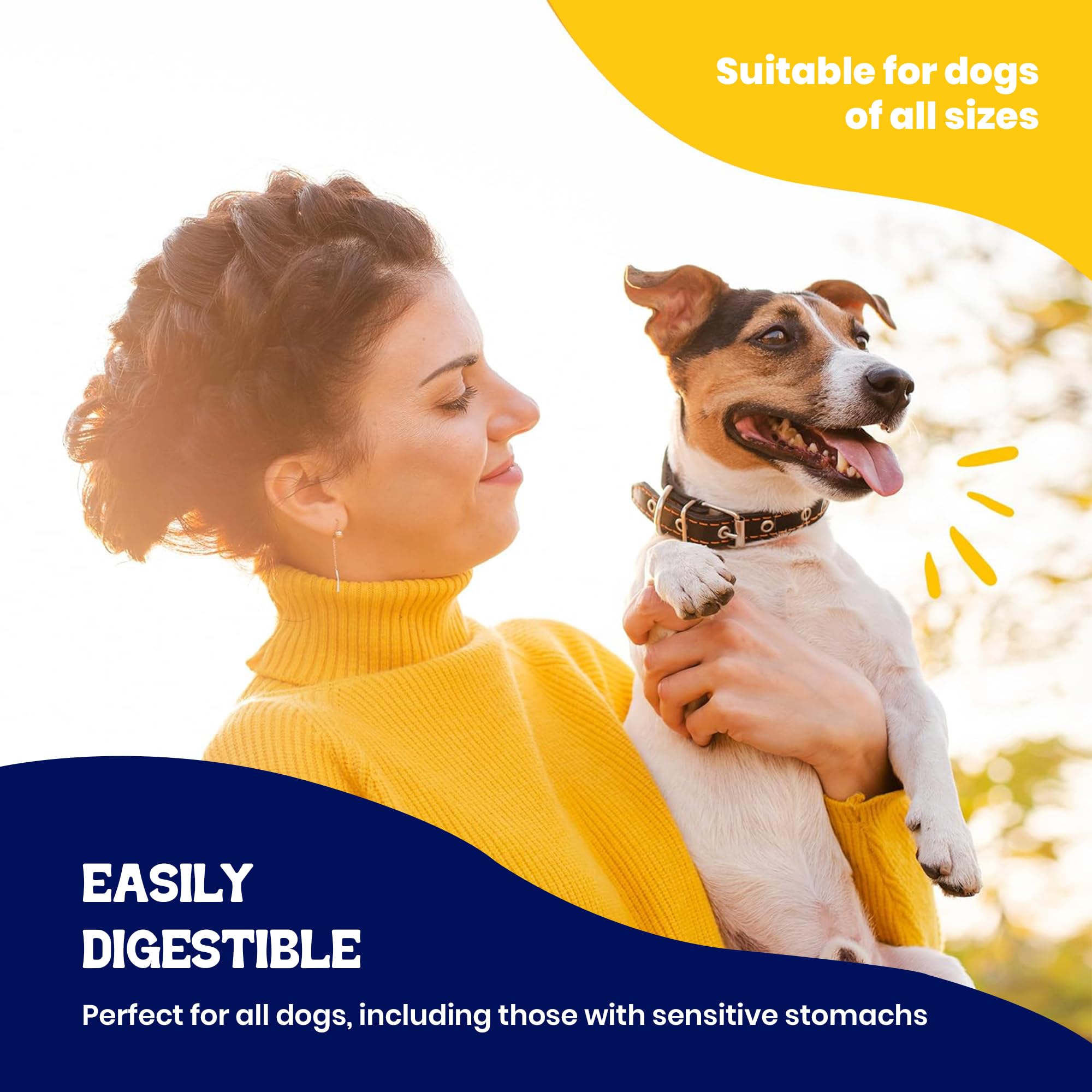 Beefeaters kabobs aide dentaire: contribue au nettoyage quotidien des dents.