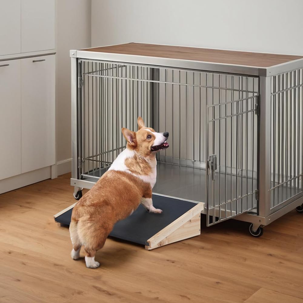 beeNbkks rampe 150 livres résistance et stabilité pour chiens et chats.