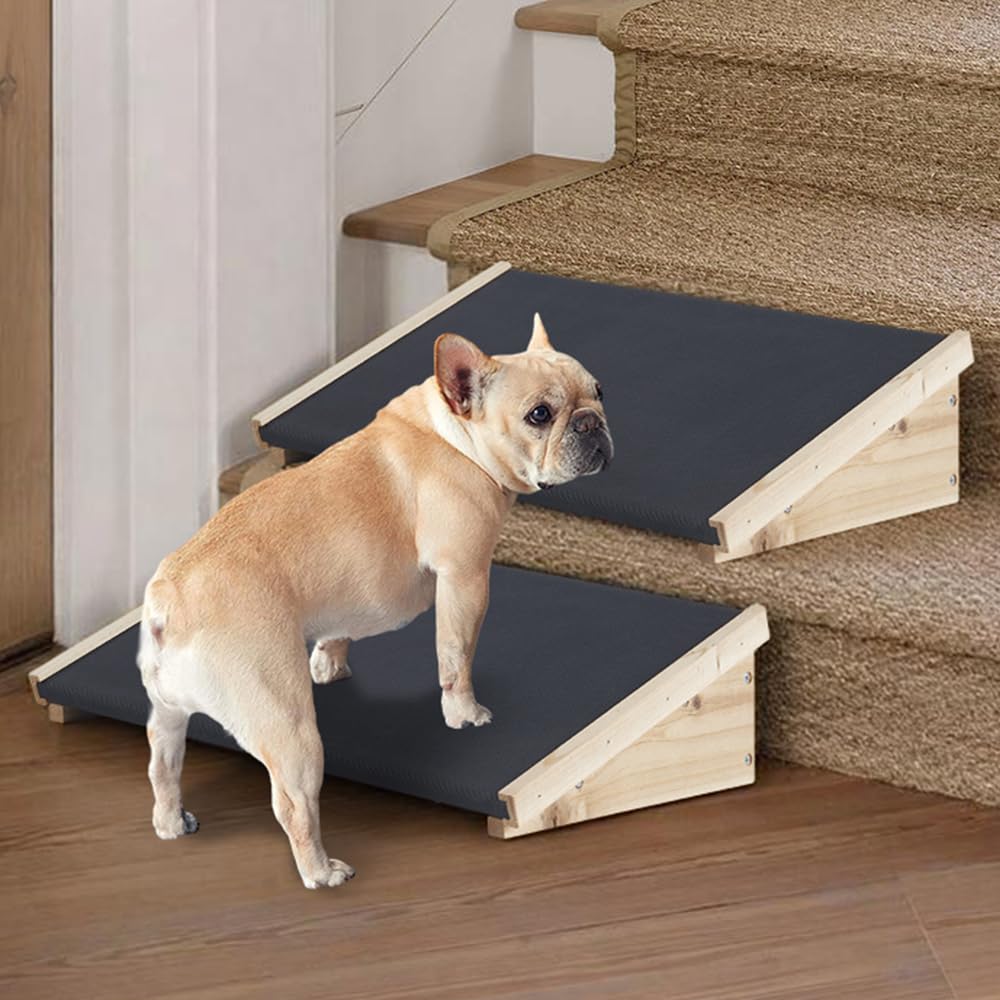 beeNbkks rampe chien avec surface antidérapante pour escaliers et sécurité.