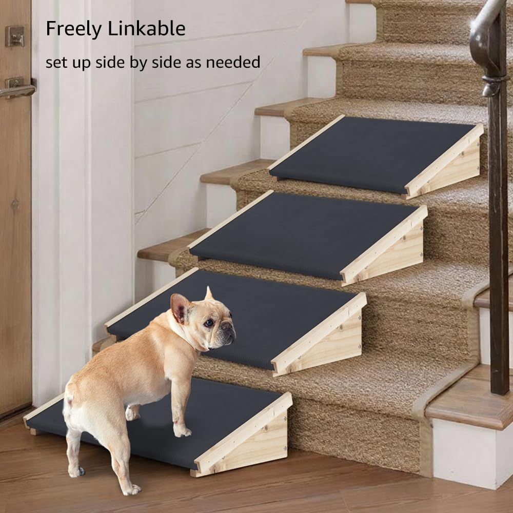 beeNbkks rampe senior pour chien soutien articulations et mobilité.