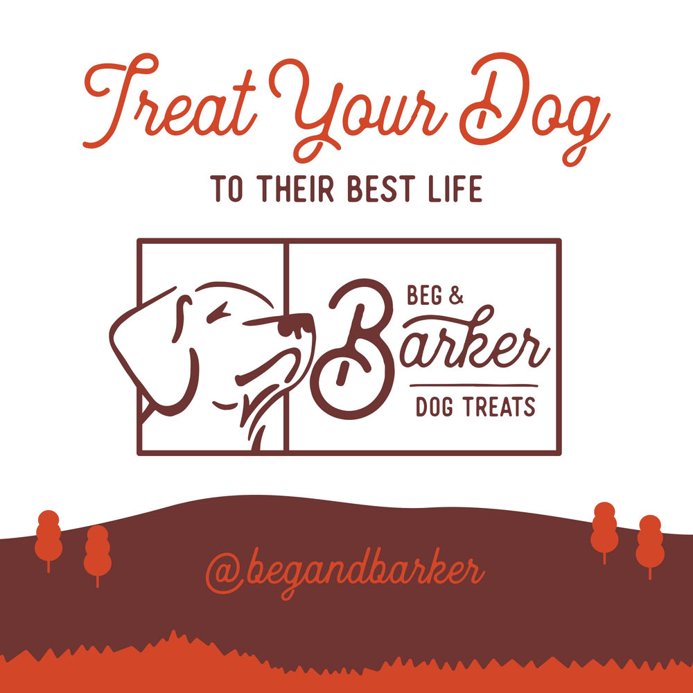 Jerky Beg & Barker adapte diabétiques, option pour chiens nécessitant un régime spécial.