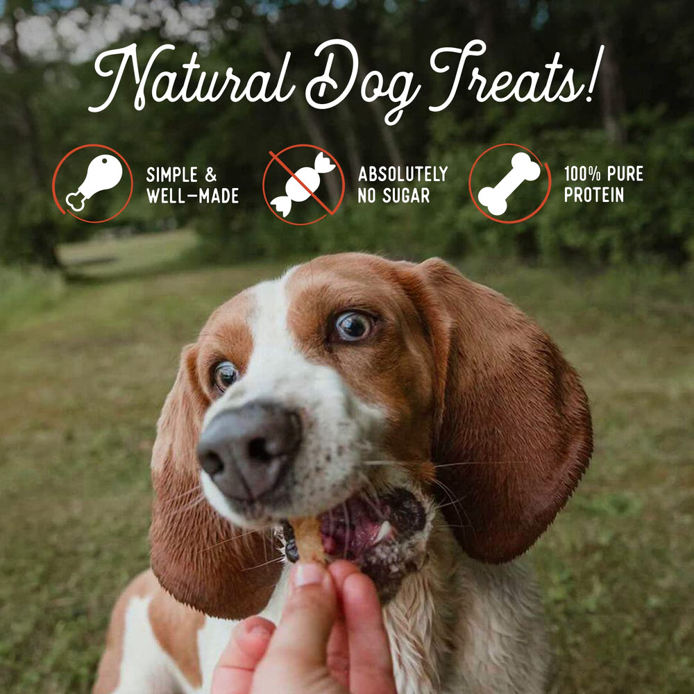 Jerky Beg & Barker sans sucres, option saine sans sucre ajouté pour chien.