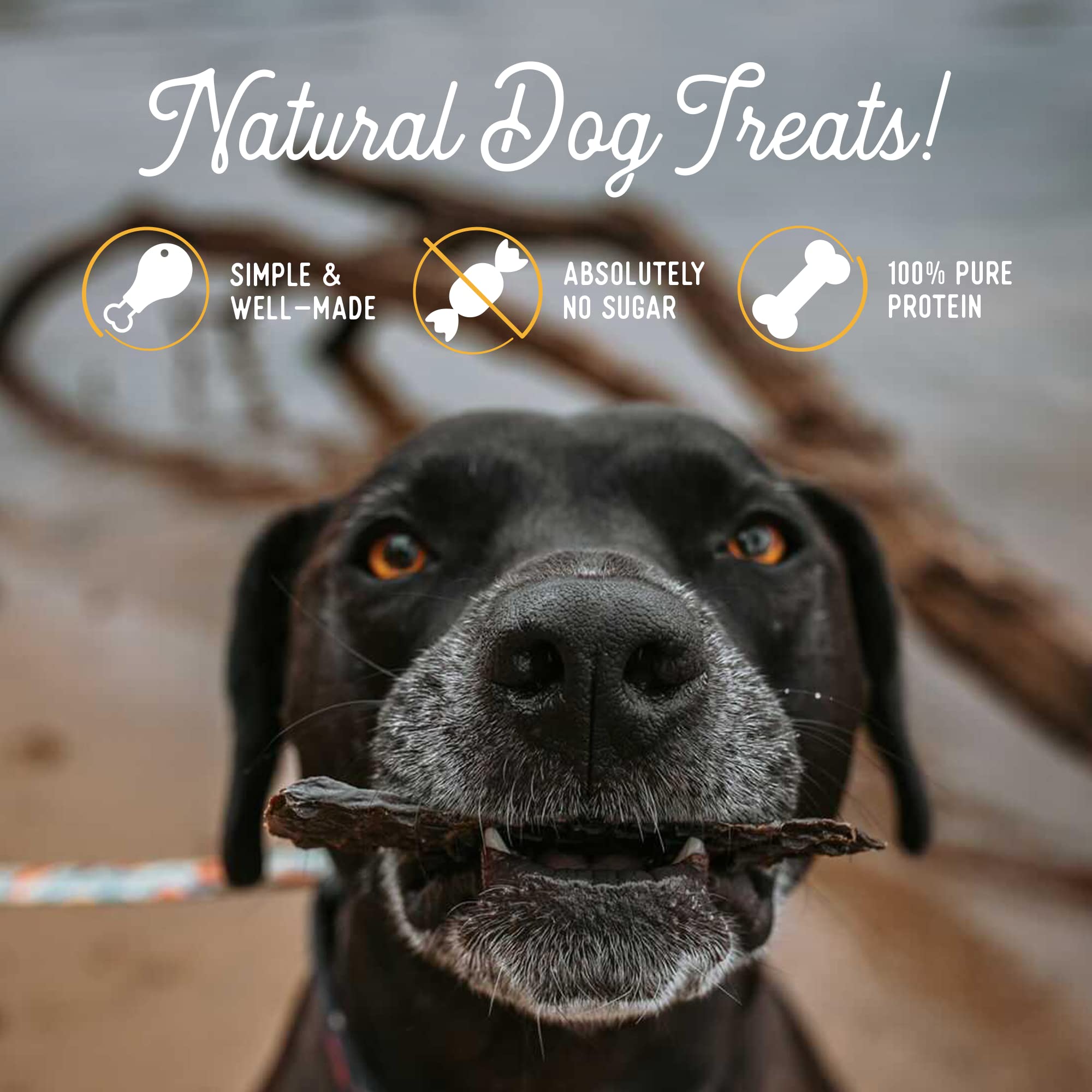 Friandise sans céréales Beg & Barker soutenant le pelage et la peau du chien.