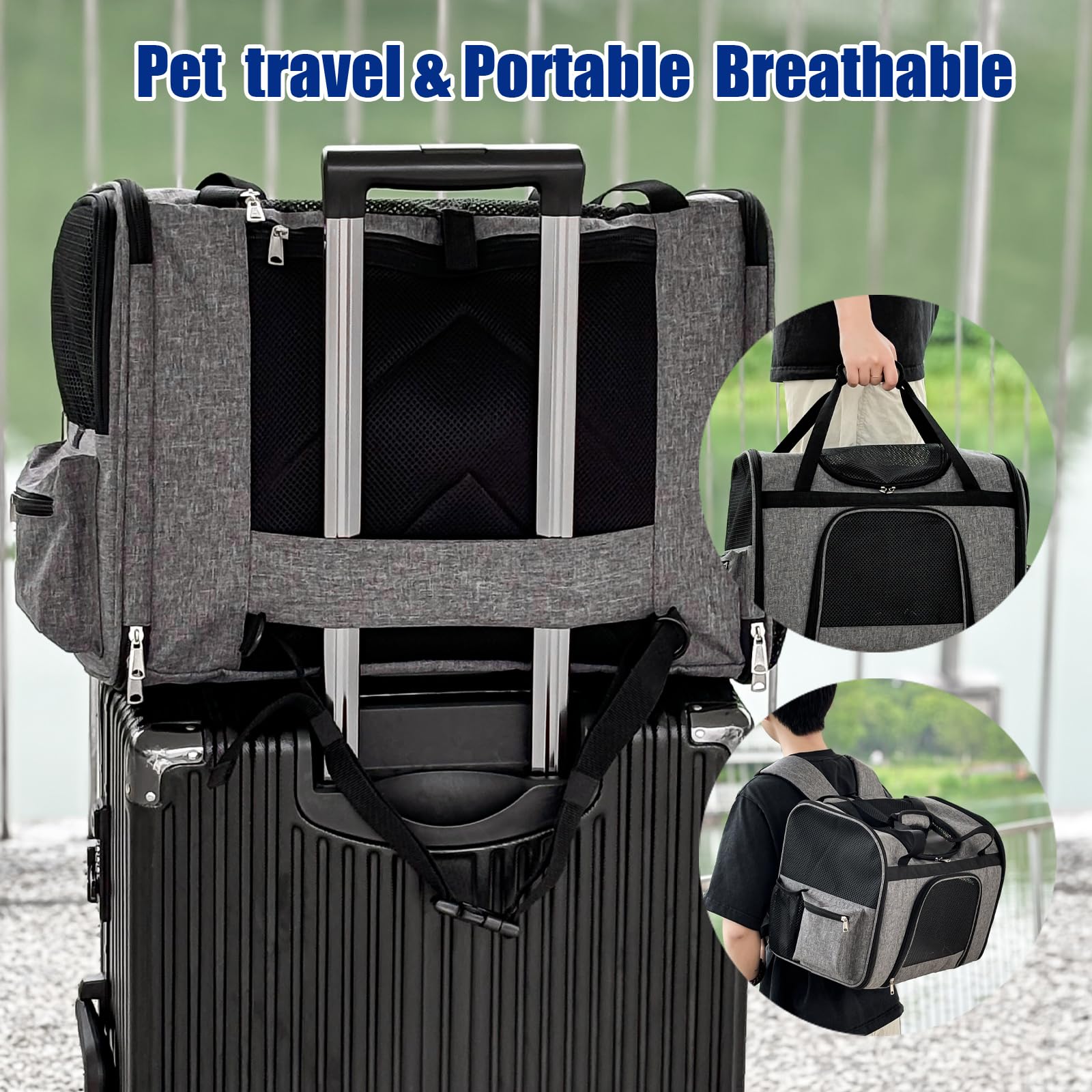 Beidingsen-sac-animal-multi-usage-intimité: espaces privés et confort pour l’animal.
