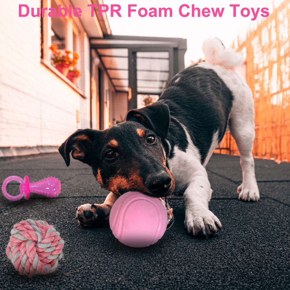 Balle ludique Beiker pour chiots roses, favorise l'interaction et l'entraînement.