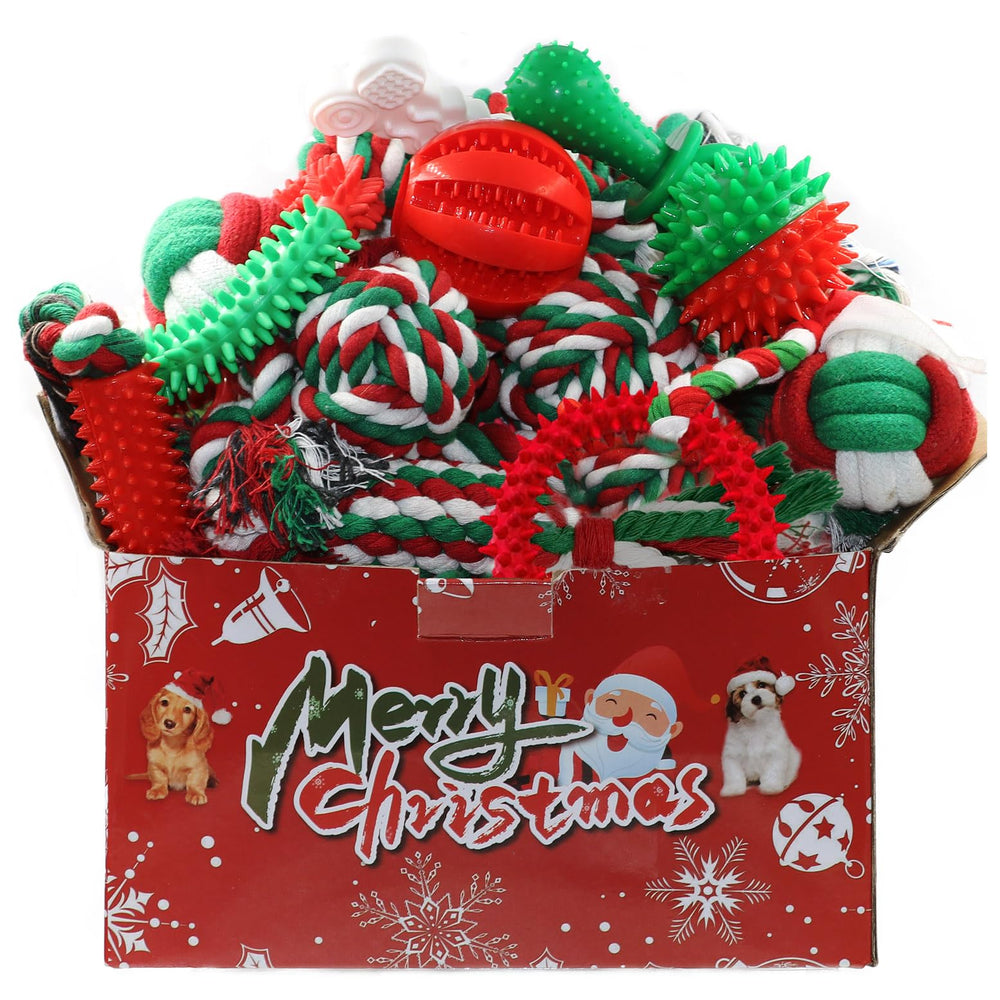 Beiker pack Noël pour chiot, ensemble festif stimulant l'activité et la dentition