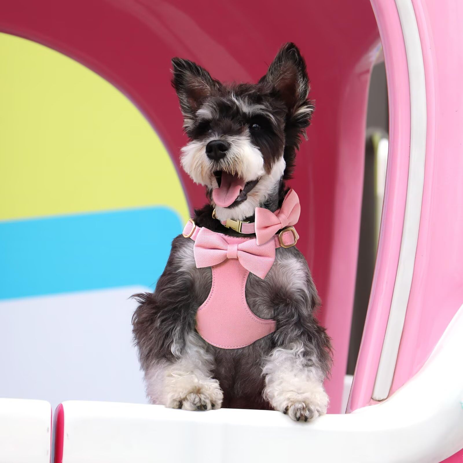 Harnais Beirui pour petit chien rose, parfait pour événements et séances photos.