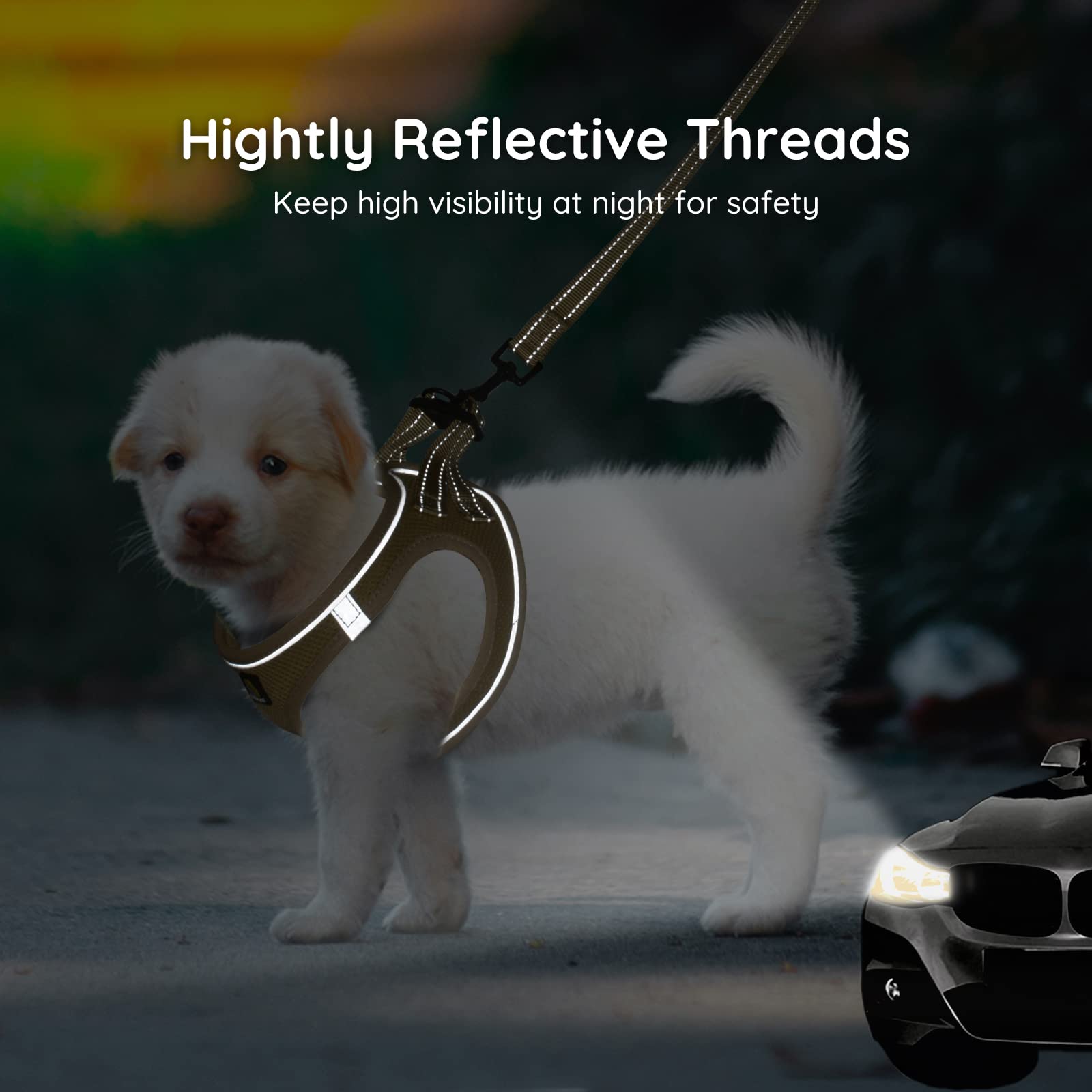 BELLA & PAL laisse réfléchissante incluse, pratique pour sécurité et promenade.