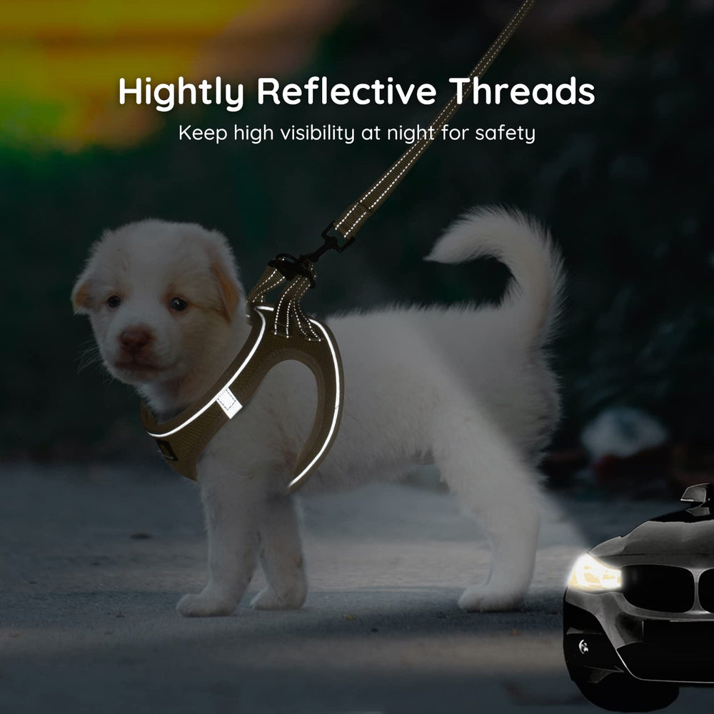 BELLA & PAL laisse réfléchissante incluse, pratique pour sécurité et promenade.