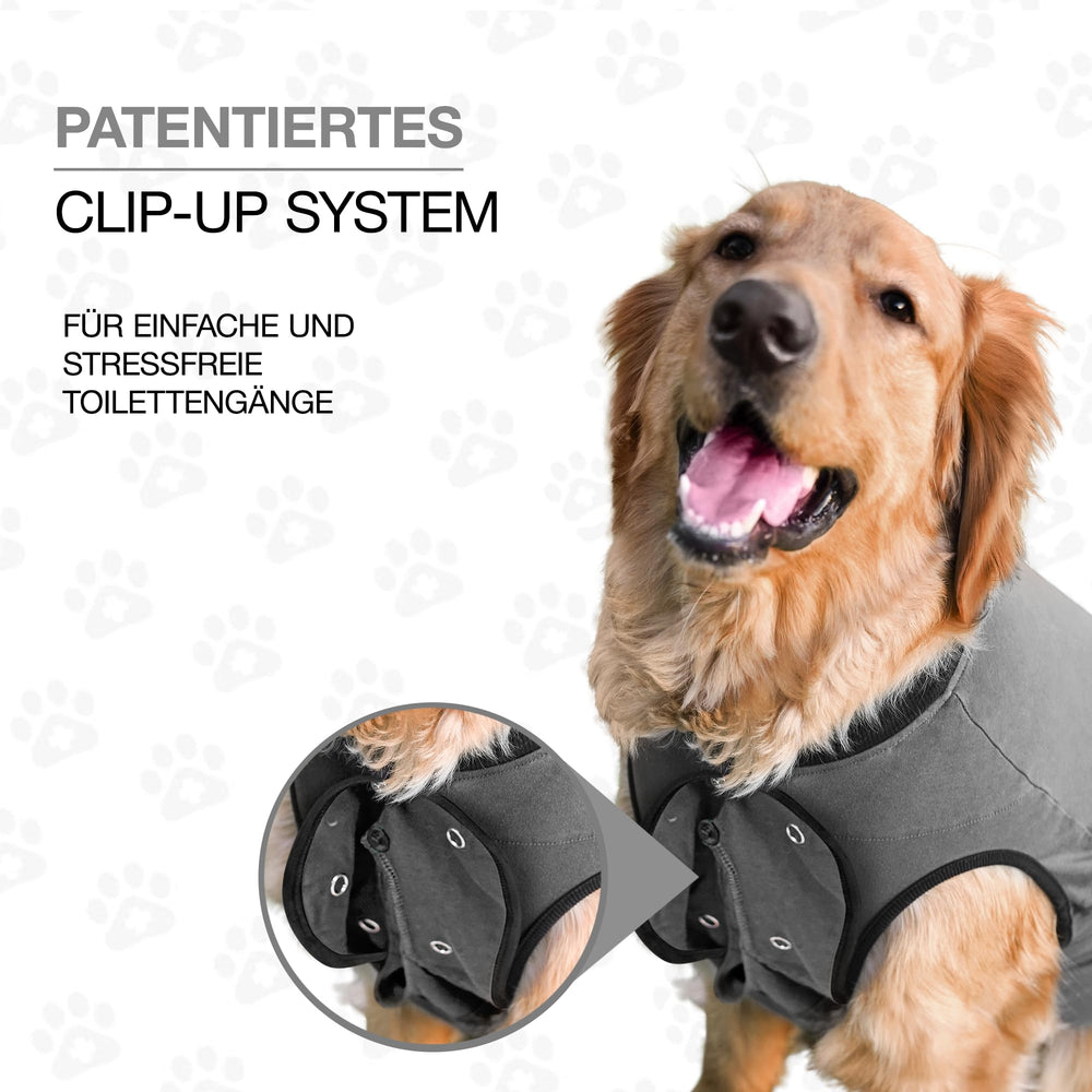 BellyGuard Combinaison récupération chien – grand confort pour les chiens sensibles durant le rétablissement.