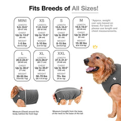 BellyGuard Combinaison récupération chien – mouvement libre pour manger, boire et se reposer.