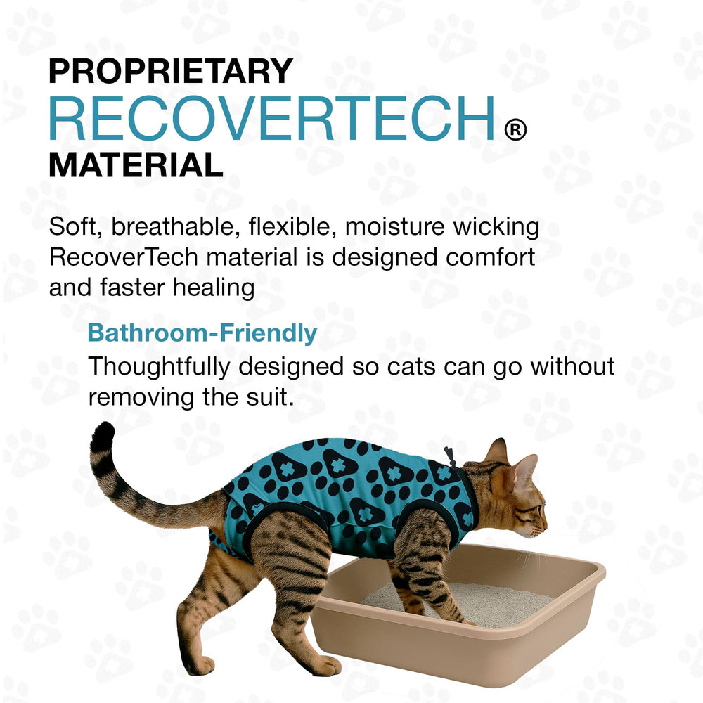 BellyGuard: ajustement sûr et confort durable pour le chat en convalescence.