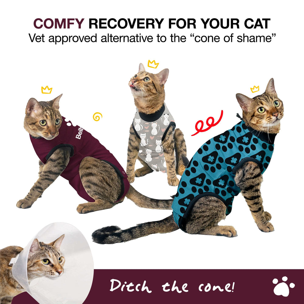 BellyGuard combinaison convalescence chat male, liberté de mouvement et protection post-chirurgie