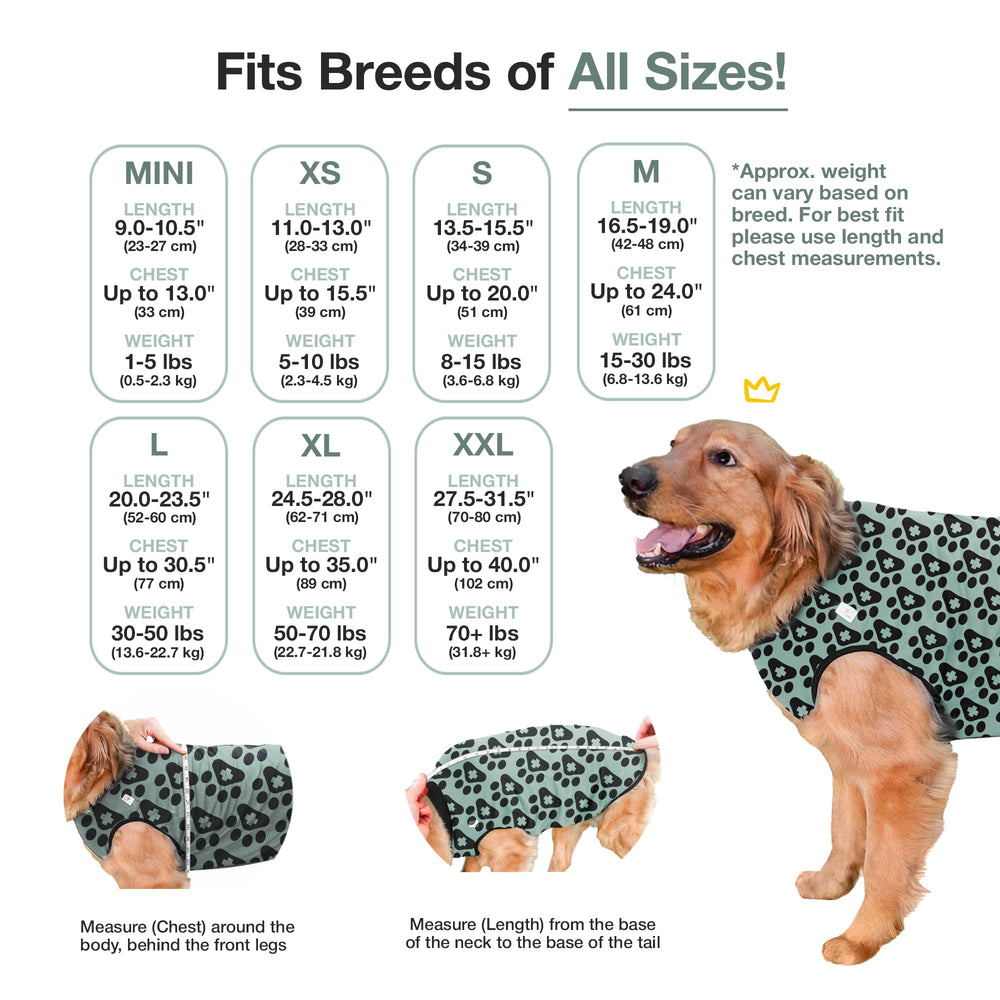 BellyGuard combinaison postopératoire chien, détail fermeture pour mise en place rapide.