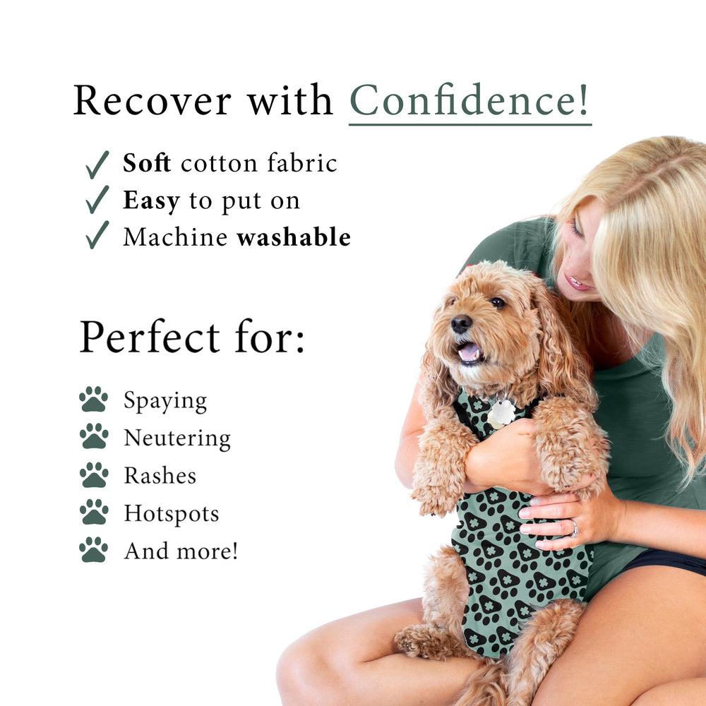 BellyGuard combinaison postopératoire chien, protection des plaies et évite le léchage.