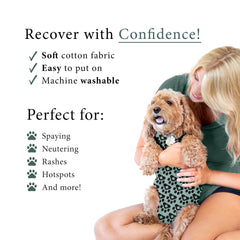 BellyGuard combinaison postopératoire chien, protection des plaies et évite le léchage.