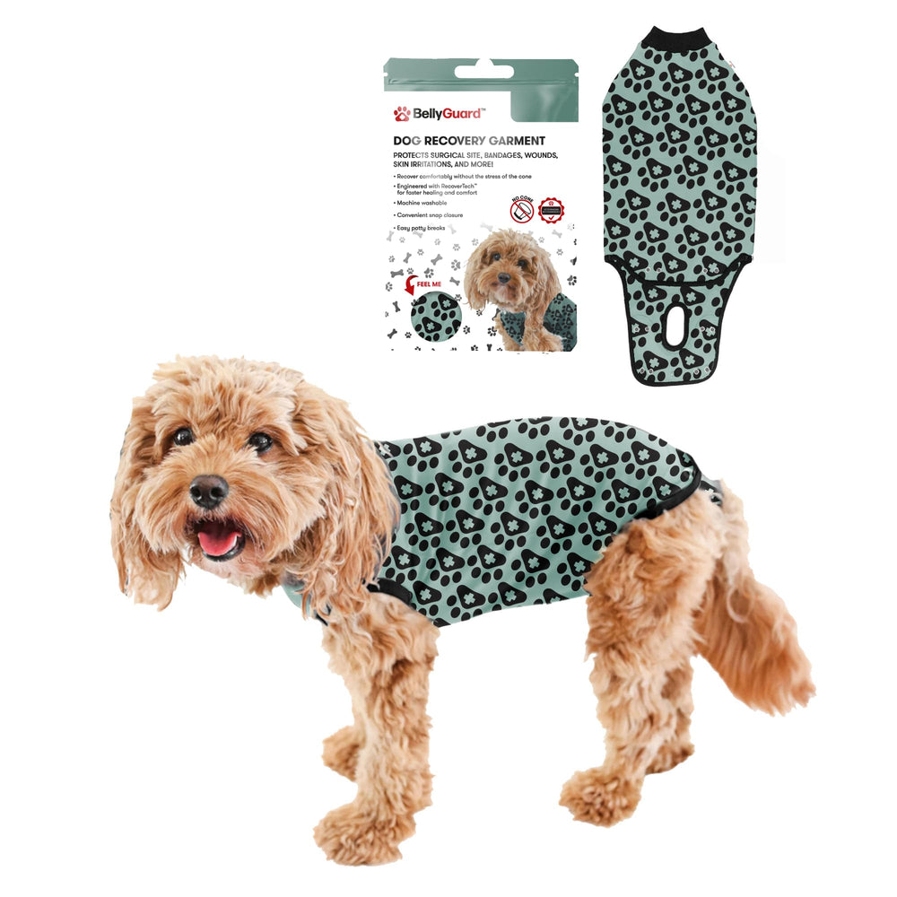 BellyGuard combinaison recovery chien vue haute, confort et protection des sutures.