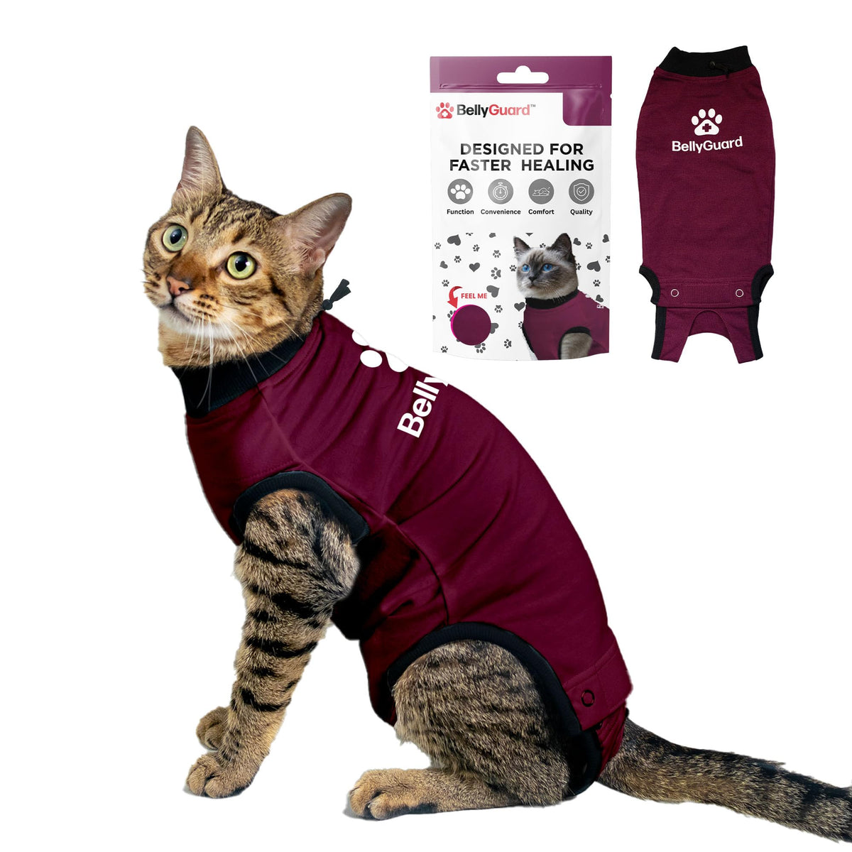 BellyGuard costume-recup-chat-femelle, protection et confort pendant la récupération.
