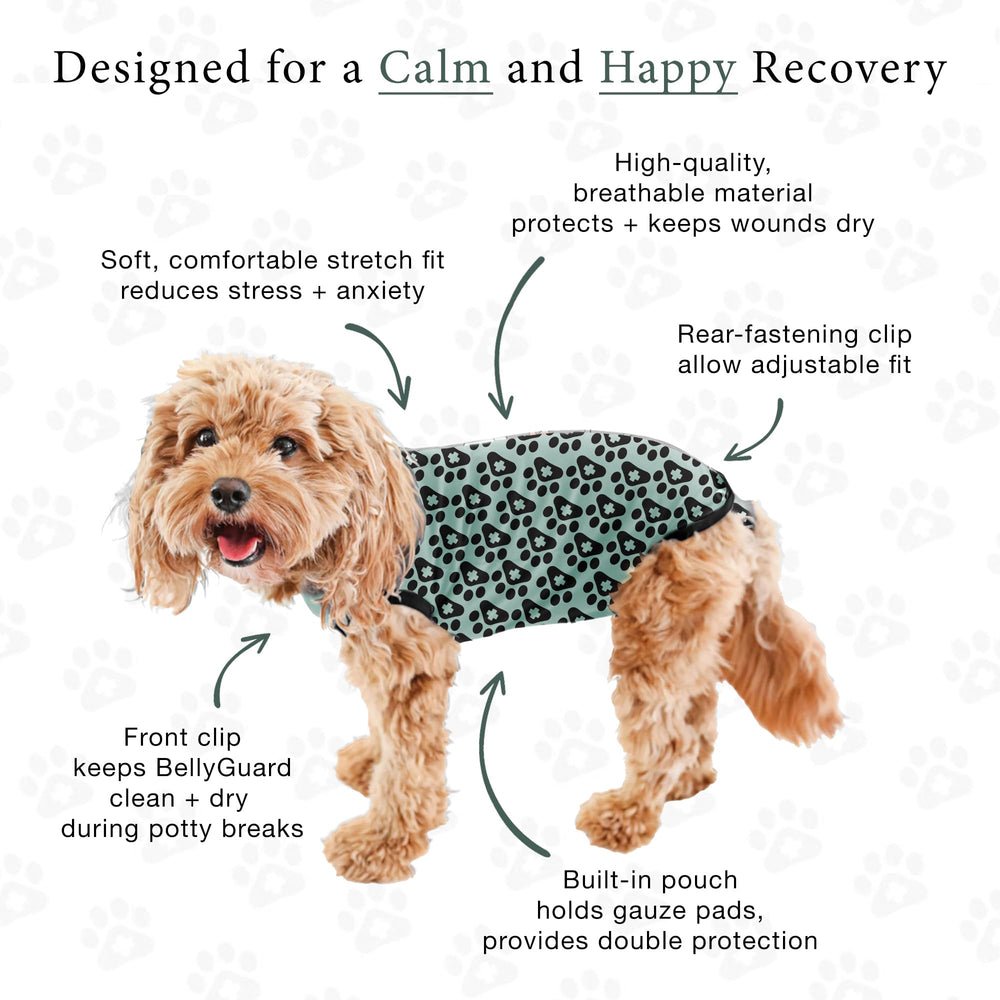 BellyGuard materiau RecoverTech, confort durable et entretien facile.