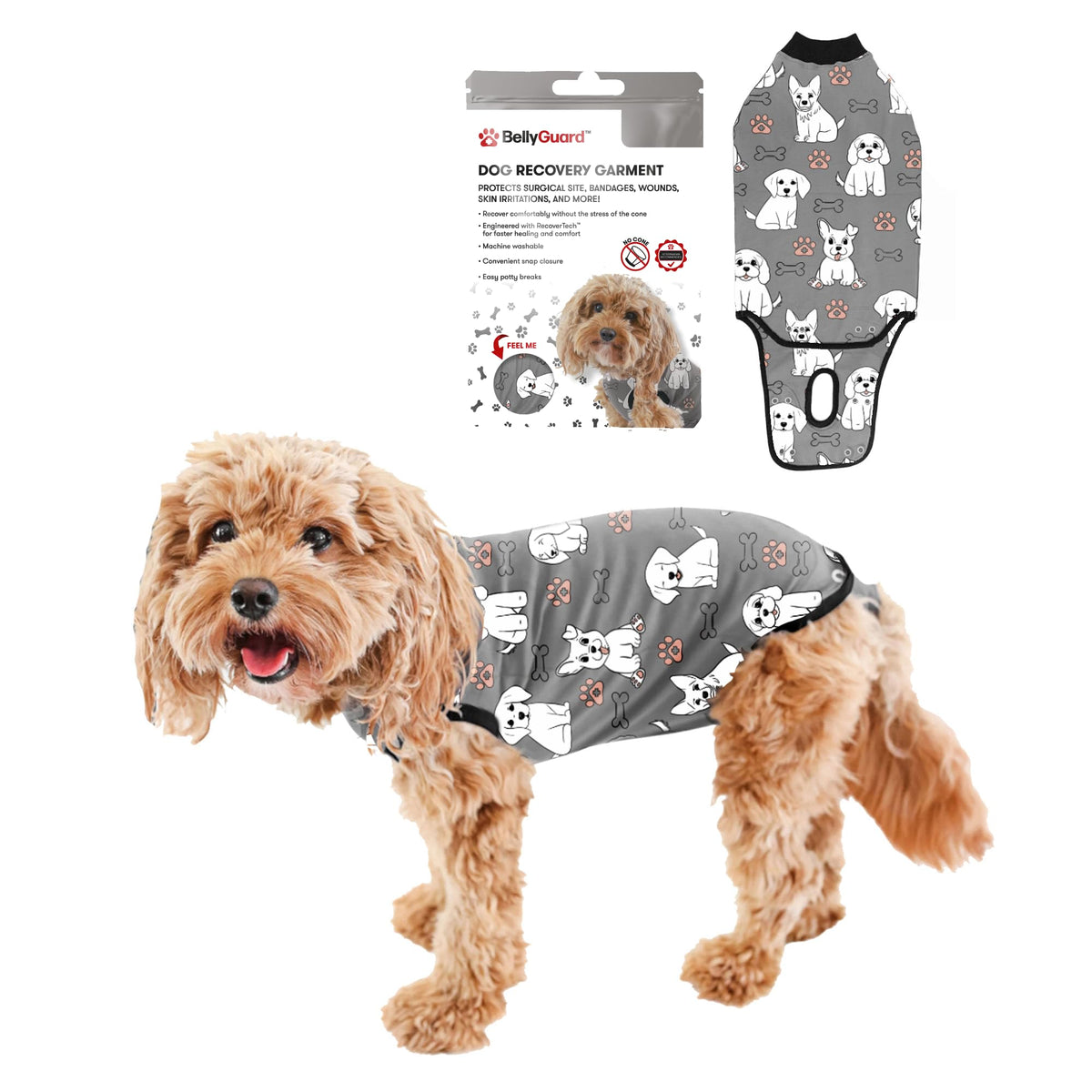 Combinaison BellyGuard de récupération pour chien post-opératoire, protège les sutures et permet le mouvement.