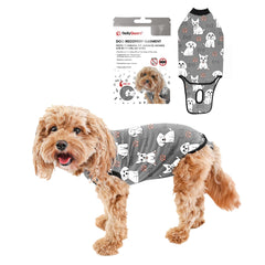 Combinaison BellyGuard de récupération pour chien post-opératoire, protège les sutures et permet le mouvement.