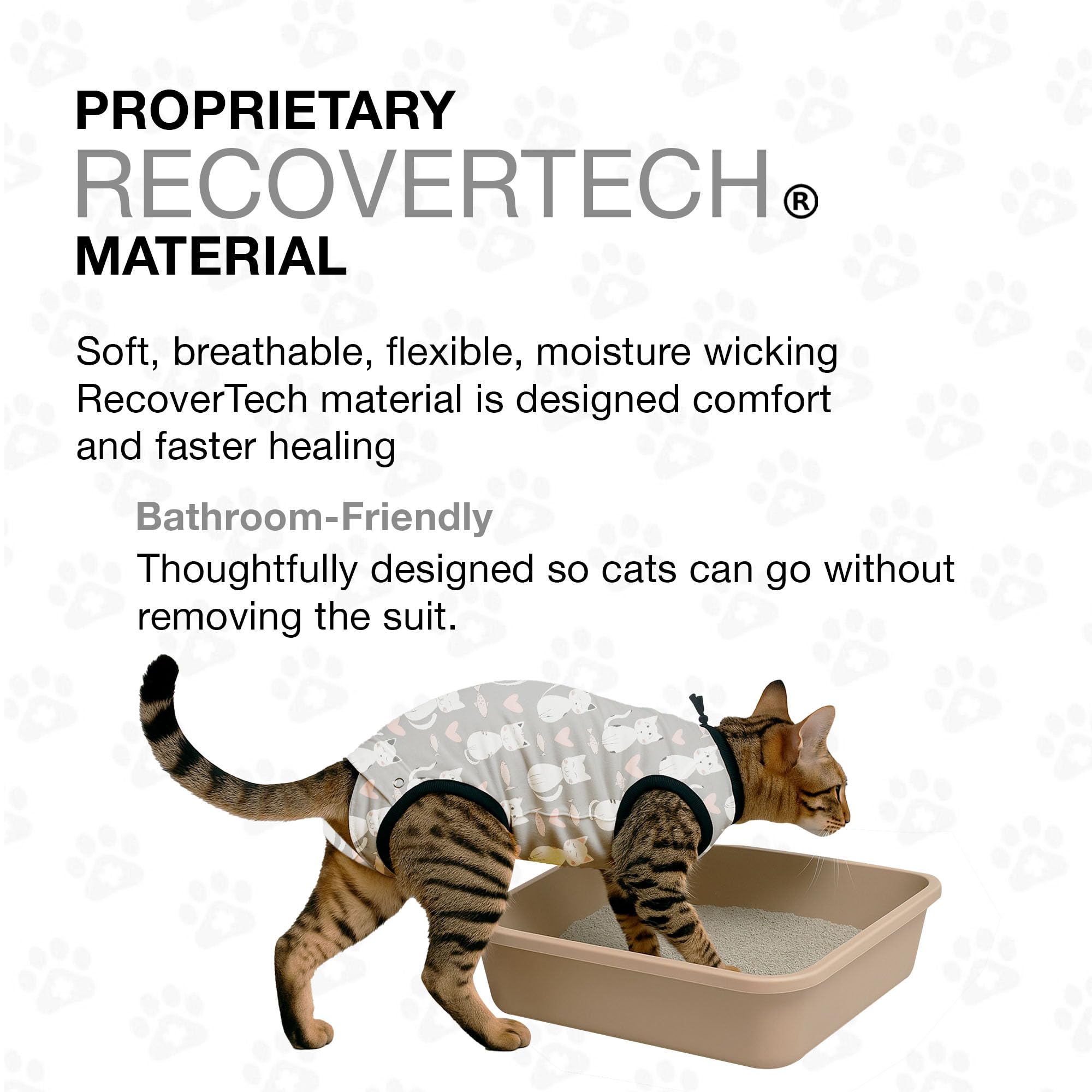 BellyGuard: soutien de mouvement post-chirurgie pour chat, rétablissement en douceur.
