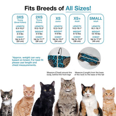 BellyGuard-suit-postchirurgie-mouvement-naturel: permet un mouvement naturel après chirurgie.
