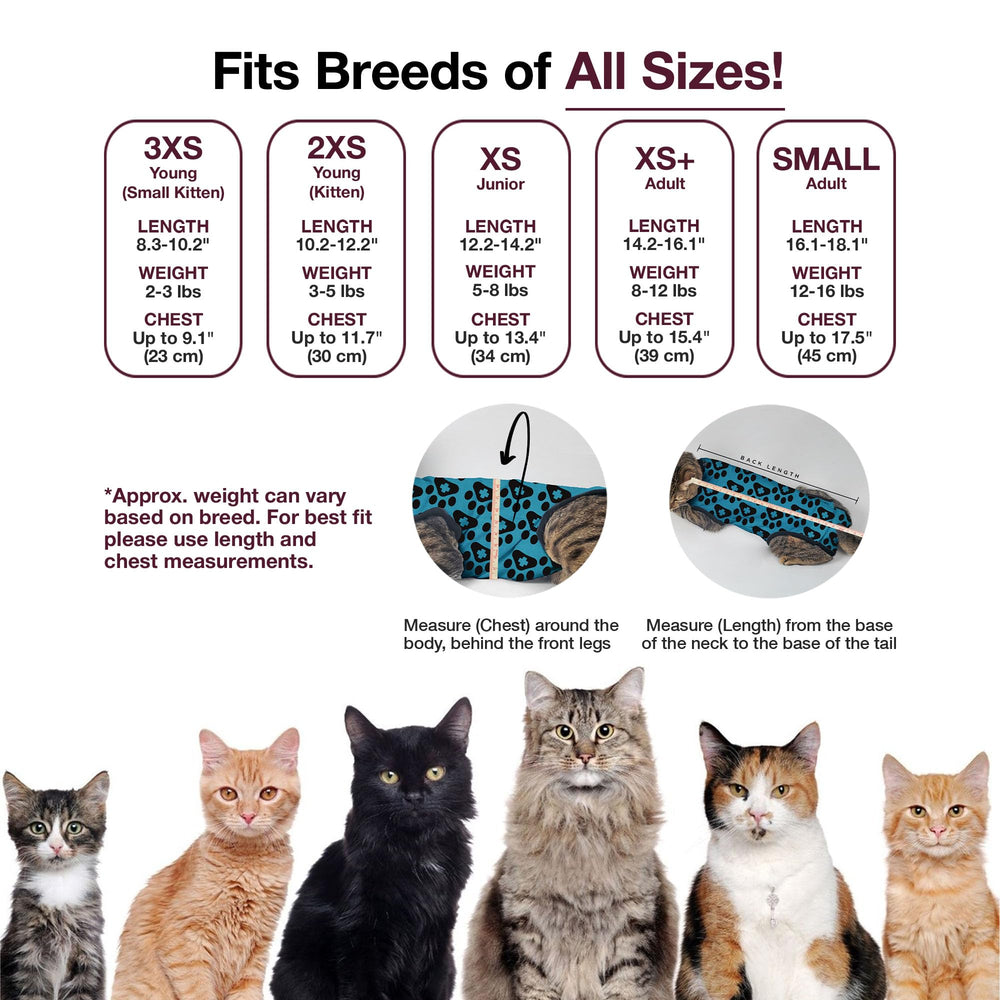 BellyGuard: protection ciblée des sites chirurgicaux chez le chat.