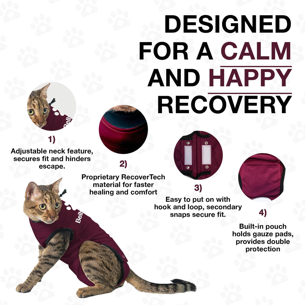 BellyGuard: pyjama doux pour chat, réconfort et sécurité.