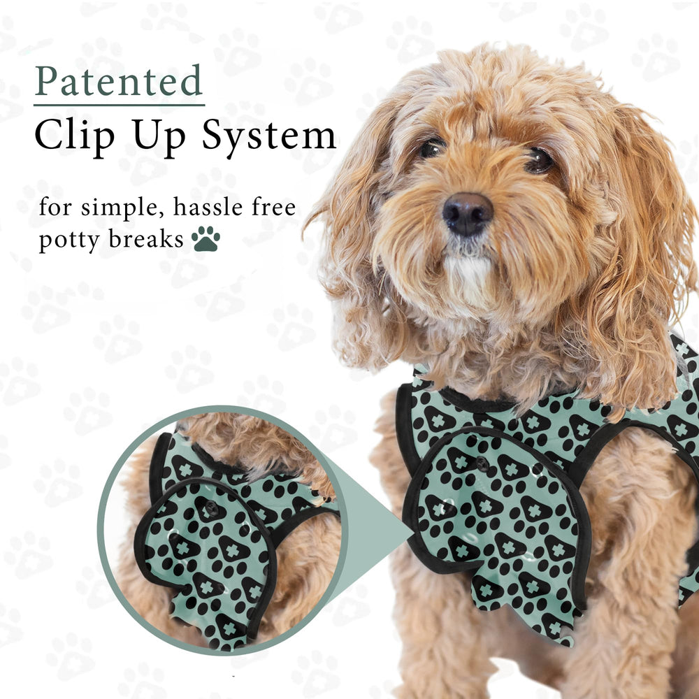 BellyGuard tenue recovery chien après sterilisation, soutien et confort quotidien.
