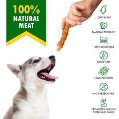 Beloved Pets bâtonnet poulet dentition saine et mastication agréable