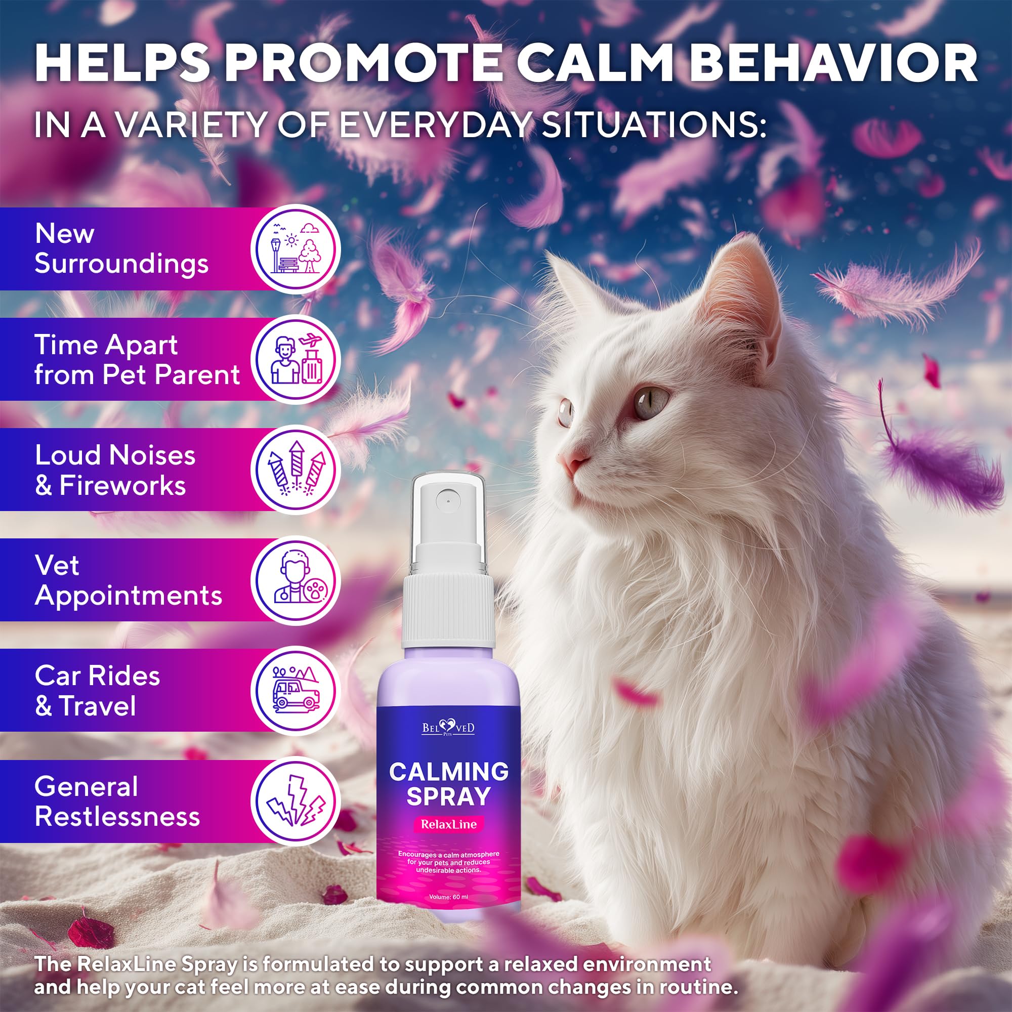 Beloved Pets chat relaxé en voyage grâce au spray apaisant.