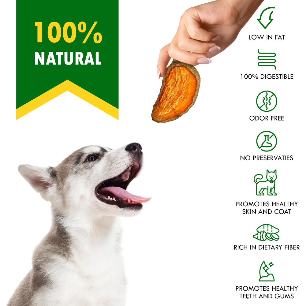 Chien mâchant une friandise Beloved Pets patate-douce.
