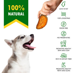 Chien mâchant une friandise Beloved Pets patate-douce.