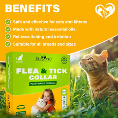 Beloved Pets collier chat application rapide, usage simple sans manipulation directe sur la peau.