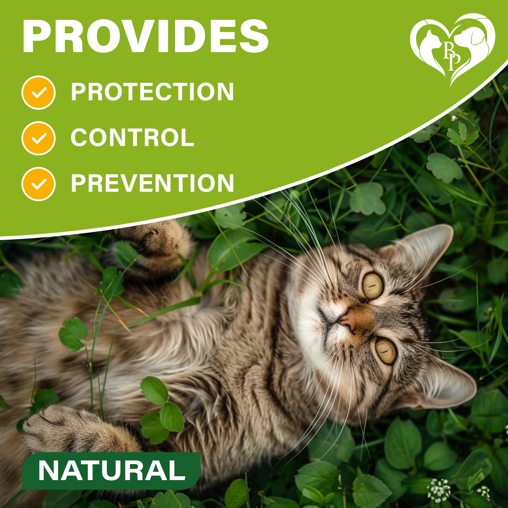Beloved Pets collier chat emballage pratique, rangement compact et facile.