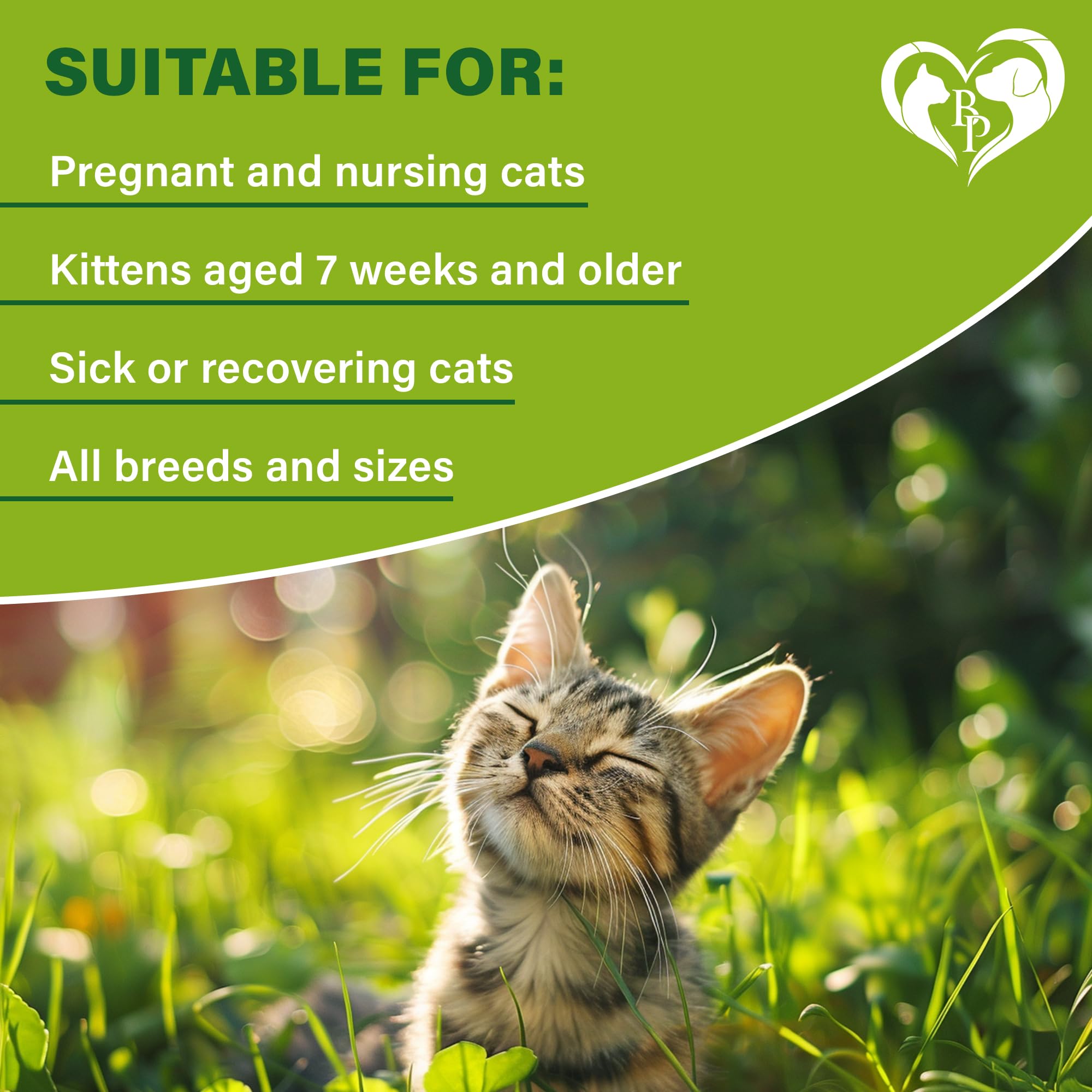 Beloved Pets collier chat non irritant, conçu pour limiter les irritations chimiques.