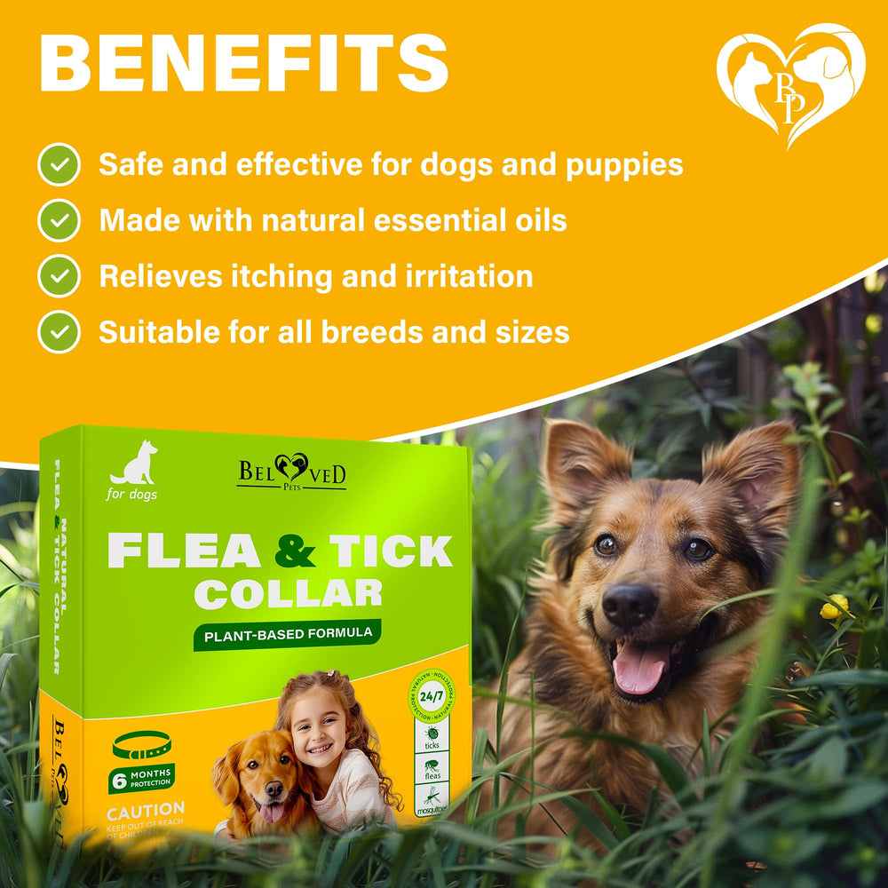 Collier Beloved Pets huiles essentielles chien, solution naturelle efficace