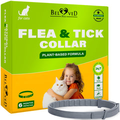 Beloved Pets collier puces tiques chat 6 mois, protection durable sans morsure.