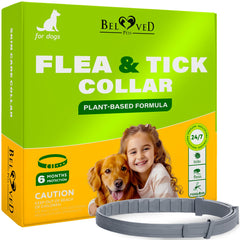 Collier Beloved Pets puces et tiques chien, action rapide sans morsure