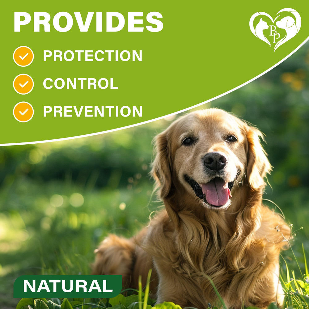 Collier Beloved Pets technologie allemande, protection durable